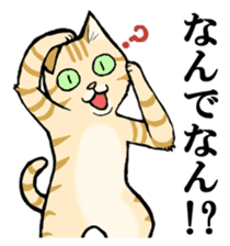 Charo speaking Kansai dialect sticker #15554490