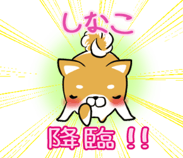 SHINAKO's exclusive sticker sticker #15555045