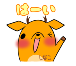 SHINAKO's exclusive sticker sticker #15555048