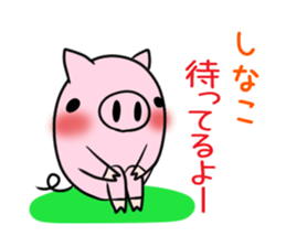 SHINAKO's exclusive sticker sticker #15555053