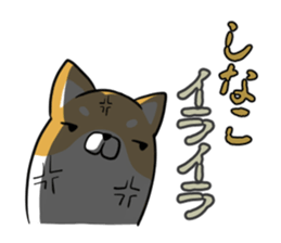 SHINAKO's exclusive sticker sticker #15555061