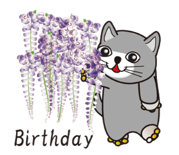 500 cats 2-150e-1 sticker #15555543