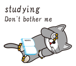 500 cats 2-150e-1 sticker #15555546