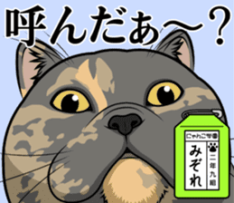 Nyanko school(PART12) sticker #15556522
