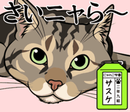 Nyanko school(PART12) sticker #15556531