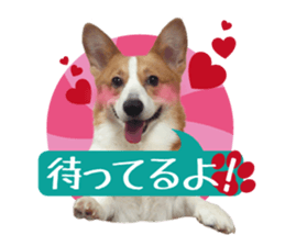 Host and pet dog + and others sticker #15556759