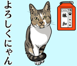 Nyanko school(PART11) sticker #15556933