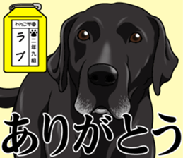 Wanko school(PART4) sticker #15557217