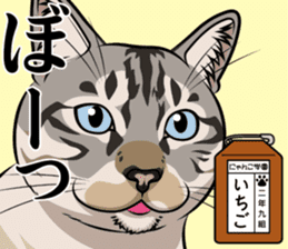 Nyanko school(PART14) sticker #15557439