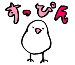 Noisy paddybird sticker #15557646