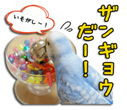 The parakeet "SAKU" sticker #15558440