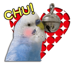 The parakeet "SAKU" sticker #15558465