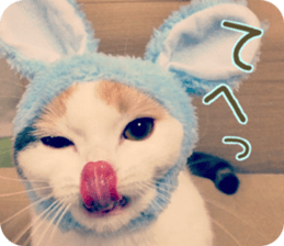 mugi325channel.2 sticker #15558501