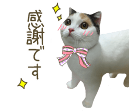 mugi325channel.2 sticker #15558502