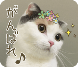 mugi325channel.2 sticker #15558503