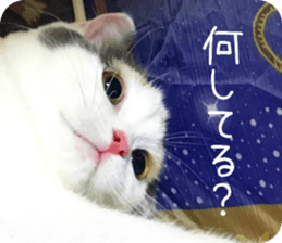 mugi325channel.2 sticker #15558507