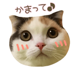 mugi325channel.2 sticker #15558508