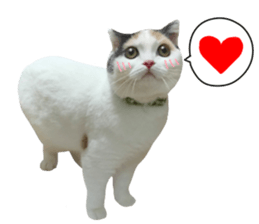 mugi325channel.2 sticker #15558509