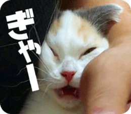 mugi325channel.2 sticker #15558511