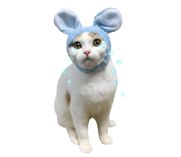 mugi325channel.2 sticker #15558512