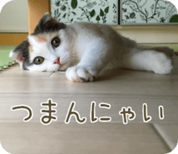 mugi325channel.2 sticker #15558513