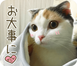 mugi325channel.2 sticker #15558516