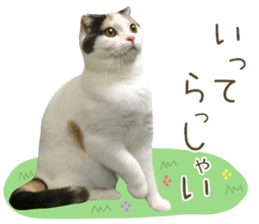 mugi325channel.2 sticker #15558518