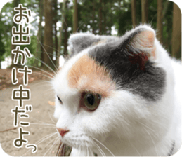 mugi325channel.2 sticker #15558519