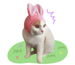 mugi325channel.2 sticker #15558520