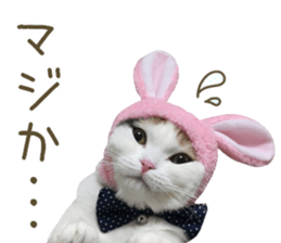 mugi325channel.2 sticker #15558521