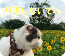 mugi325channel.2 sticker #15558524