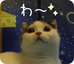 mugi325channel.2 sticker #15558525