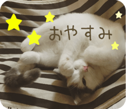 mugi325channel.2 sticker #15558527