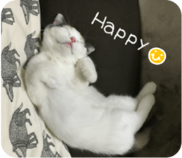 mugi325channel.2 sticker #15558528