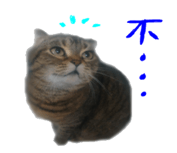 Dangdang life of the day sticker #15559661