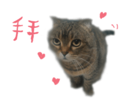 Dangdang life of the day sticker #15559663