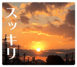 Feeling of the photograph 3 sticker #15559724