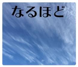 Feeling of the photograph 3 sticker #15559730