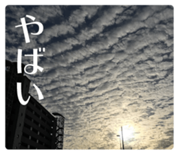 Feeling of the photograph 3 sticker #15559737