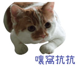 I AM HUHU sticker #15559762