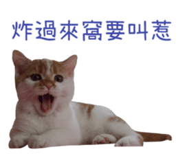 I AM HUHU sticker #15559763