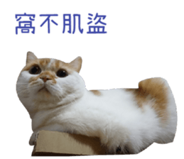 I AM HUHU sticker #15559764