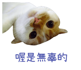 I AM HUHU sticker #15559765