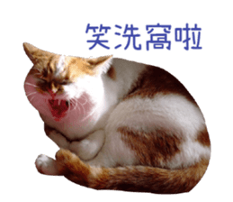 I AM HUHU sticker #15559766