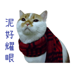 I AM HUHU sticker #15559767