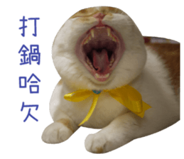 I AM HUHU sticker #15559771