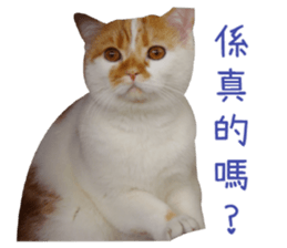 I AM HUHU sticker #15559772