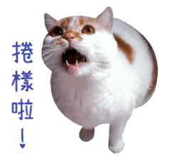 I AM HUHU sticker #15559774