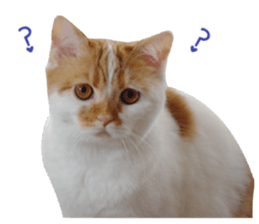 I AM HUHU sticker #15559775