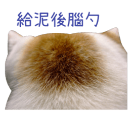 I AM HUHU sticker #15559776